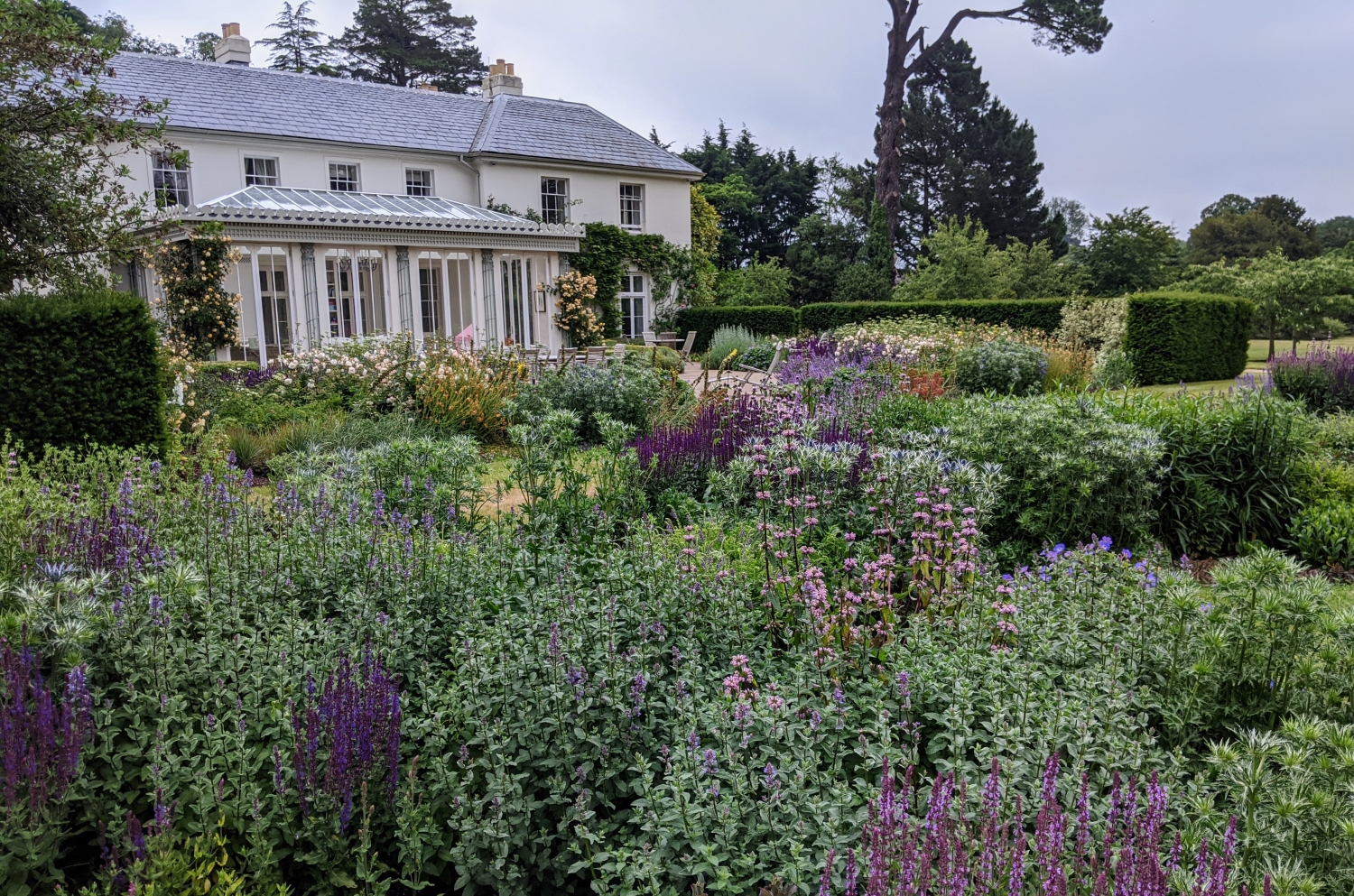 Stonelands House, Dawlish, Devon, EX7 9BQ National Garden Scheme